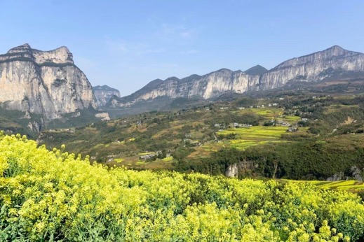 51b49319f8d84824927d449179881819